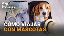 What documentation do we need to travel abroad with our pet? | RTVE Noticias