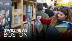 Boston Book Festival features independent bookstore Papercuts Bookshop