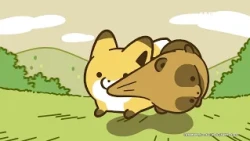Raccoon Dog & Fox | Main PV | Premiering on ANIPLUS (English subs)