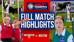 Washington DC vs Boston | Semifinals | AKC Agility Team Challenge | USA 250