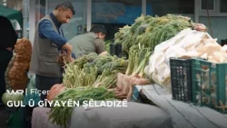 Fîçer - Gul û Gîyayên Şêladizê | فیچەر -گول و گیایێن شێلادزێ