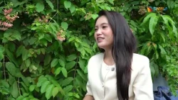 Bai Choi - The Sound of Heritage in Modern Life