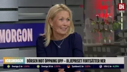 Experten: "Räntor är det stora hotet"