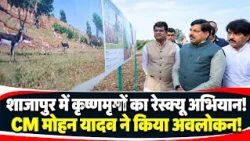 Shajapur Blackbuck Rescue: Second phase of blackbuck rescue operation in Shajapur, CM Mohan Yadav...