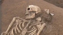 PUNKTum: New archaeological investigations at the Königspfalz Helfta
