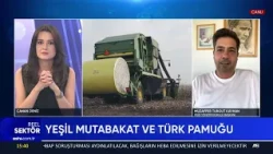 COTTON CULTIVATION AREA DROPPED FROM 410 THOUSAND HECTARES IN 2025 TO 281 THOUSAND HECTARES IN 2026
