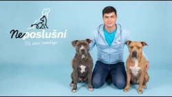 Karin a Andrej čakajú bábätko. Sú na to pripravené aj ich psy? | Neposlušní