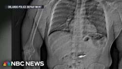 Florida man who swallowed $769,000 in Tiffany diamonds found guilty