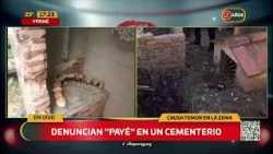 Photographs, dead chickens, and other objects found in Ypané cemetery