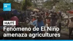 Fenómeno de El Niño amenaza cultivos en localidades secas de Haití