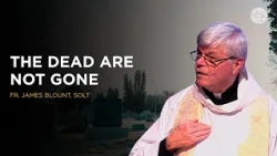 A Glimpse of Heaven: Fr. James Blount’s Powerful Testimony | Shalom World