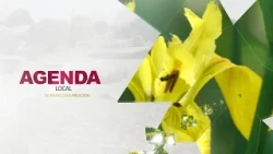 Agenda Local 14-10-26