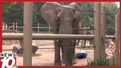 How Seneca Park Zoo is protecting animals amid air quality concerns