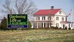 Gardening Life with P. Allen Smith marathon | preview