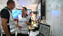 Mega-wildfires in France and Spain: How the EU coordinates assets and resources