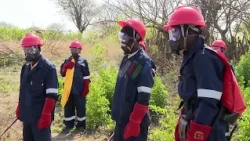 Uncontrolled wildfires in Manica: The phenomenon devastates 36 thousand hectares per year