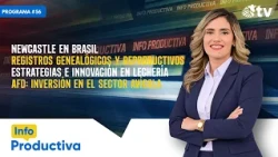 Info Productiva #56