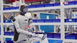 China-made Humanoid Robots Work in Global Production Facilities