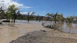 Floods devastate properties in southeastern Utah after rain overflows San Juan River