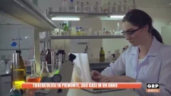 Tuberculosis in Piedmont, 300 cases in one year