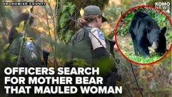 Woman injured in bear attack in Snohomish County; WDFW searches for mother and cub