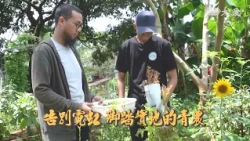 【生活地球村】告別霓虹 腳踏實地的青農20261025