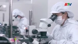 Bac Ninh's Digital Economy Breakthrough