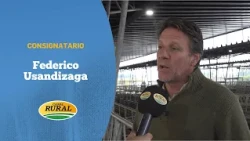 Rain drives up cattle prices in Cañuelas