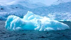 Glaciers in danger: they protect 69% of fresh water and are melting at an alarming rate.