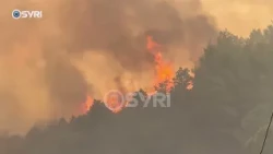 Zjarri i afrohet rrezikshëm lokaleve në Levan, pronarët evakuojnë stafin: Duhet ndërhyrje nga ajri