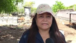 VACCINATION DRIVE IN BOLIVAR