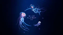 FIRST LOOK: Blue Planet III Trailer | Featuring JADE & Hans Zimmer | BBC Earth