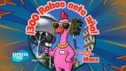 ¿Qué pasó esta semana en Celaya?  🐔✨🗞️