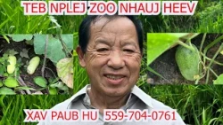 Hmong tv network tham txog nplej 9-20-27