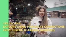 Like in China: Explore China-Paraguay connections, from tereré to herbal remedies