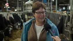 Farm in IJlst shows where our food comes from