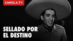 Una gran estafa se avecina | AMOR SE DICEN CANTANDO | Cine de Oro | Canela.TV