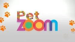 Pet Zoom | Ever heard of the Bioceanic Route? Follow @loladatv. Cataract prevention. Vaccination ...
