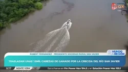 The rising waters of the San Javier River forced the relocation of livestock: Robert Fernández - ...