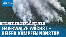 Waldbrand Müritz-Nationalpark aktuell: Munition bremst Retter | NDR Info
