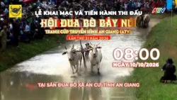 TRAILER: HỘI ĐUA BÒ BẢY NÚI TRANH CÚP TRUYỀN HÌNH AN GIANG (ATV) LẦN THỨ 31 NĂM 2026