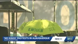 Albuquerque 'No Kings' protest urges voting