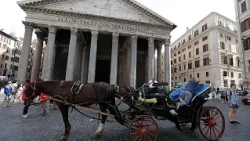 Ultimo giro in carrozza, Roma vuole mettere al bando le "botticelle"