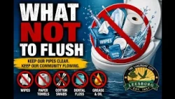Think Before You Flush! 10 Things That Can Destroy Your Plumbing