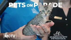 Pets on Parade - June 24, 2026
