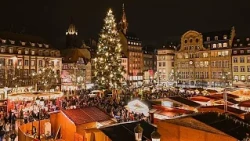 Le grand sapin du marché de Noël de Strasbourg déjà installé