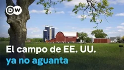 ¿Adiós al voto rural republicano? La inflación golpea a los agricultores de Míchigan
