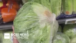 FDA says Taylor Farms lettuce could be source of cyclosporiasis outbreak