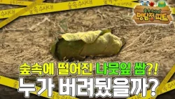 Who Left Lettuce in the Woods? Everyone's Shocked by the Truth! | Detective Pete | Kids | [EBS Pl...