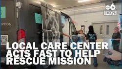 Canal Winchester center takes in 14 dogs rescued from flooded Jackson County shelter